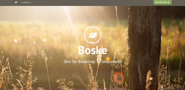 Boske---Skin-for-Bootstrap-3