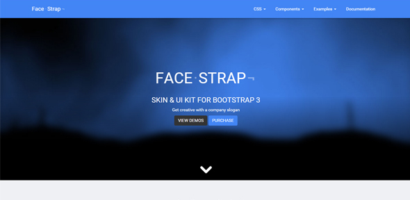 FaceStrap---Bootstrap Skins